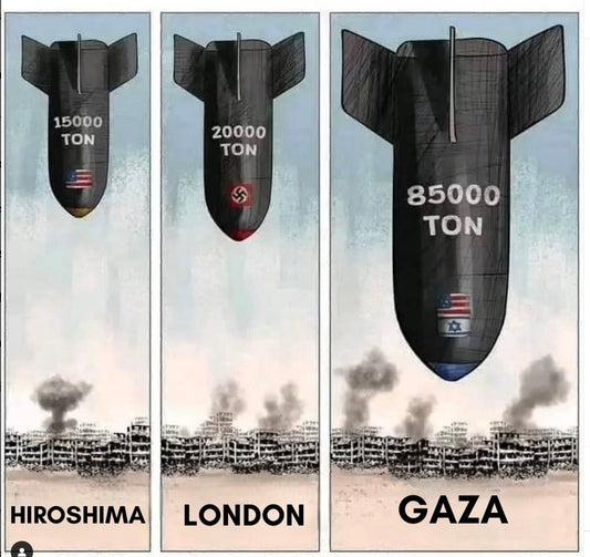 Why do we say FCK IDF?